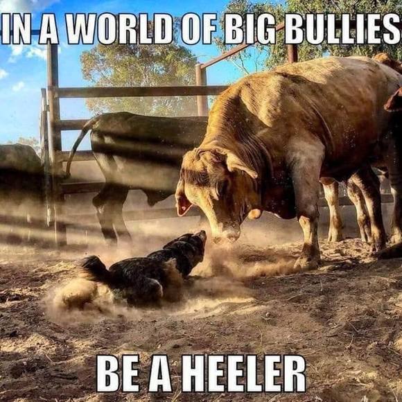 Meet your Posher, Jason - Picture 1 of 1